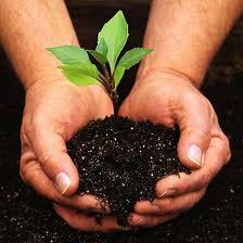 gardening
