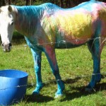 rainbow_horse_1
