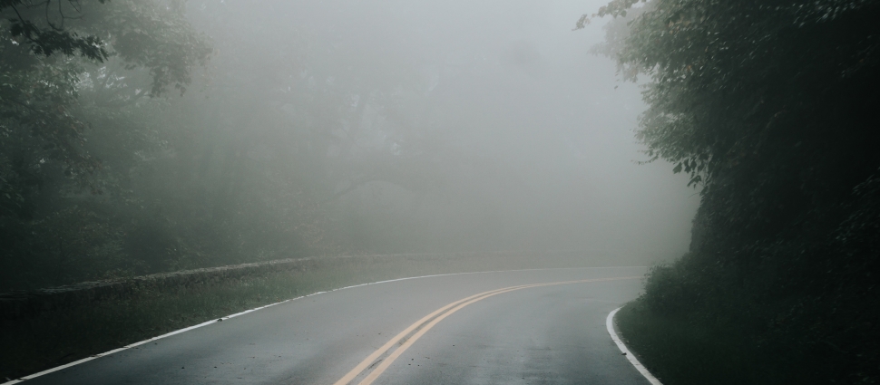 Shenandoah National Park, Virginia (by Tatiana Rodriguez)