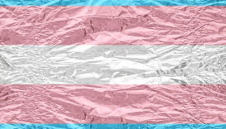 The Transgender Flag